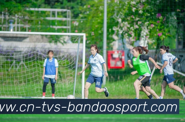 多媒体互动体验